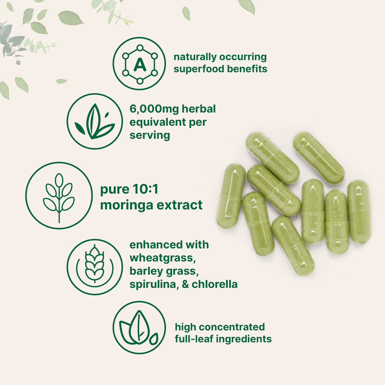 Moringa Oleifera, 300 Capsules with Supergreens Blend of Wheatgrass, Barley Grass, Spirulina, & Chlorella